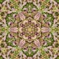 image3A1000000086_mirror5.jpg